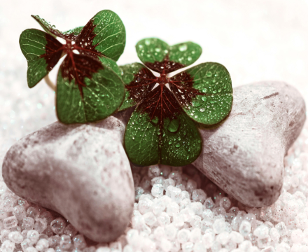 Respeito em recursos humanos em Portugal